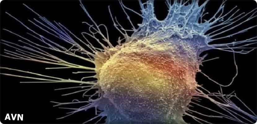 أبراتيرون عقار إضافي لسرطان البروستاتا وفرص علاج أكبر