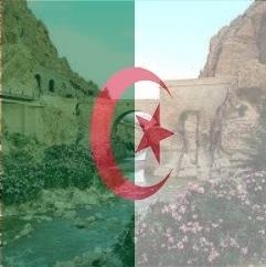 مؤسسة التميمي: سمينار الذاكرة المغاربية مع سعادة سفير الجزائر بتونس