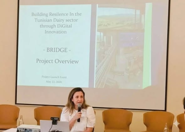 ورشة رسمية لإطلاق مشروع بريدج (BRIDGE)