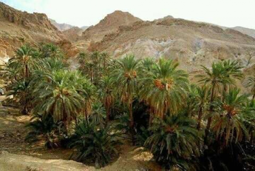 &quot;تطاوين تستعيد أجنحتها ...&quot; يومي 19 و 20 مارس 2021