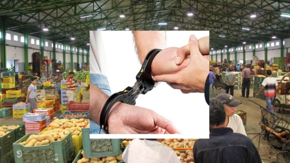 أحكام تصل إلى 7 أعوام وخطايا مالية ضد وكلاء بيع 'هباطة'